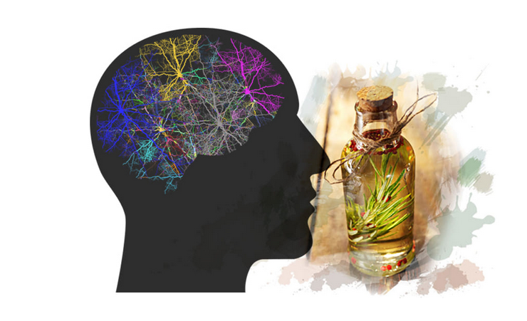 [Ульвия Голденбрук] Как выйти из сети пассивного р_0.png